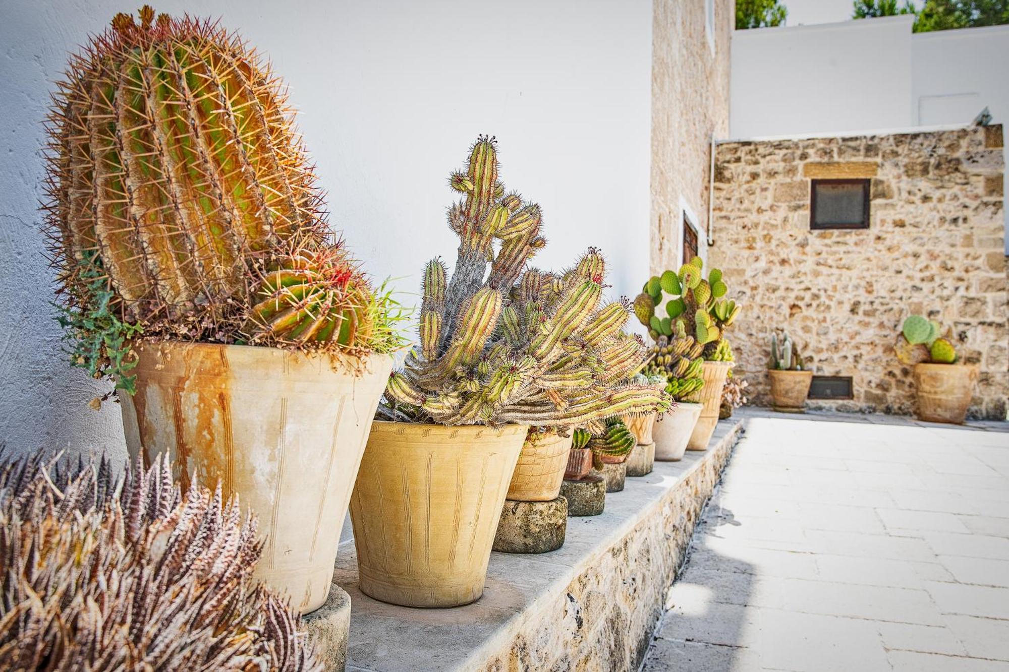 Torre Casciani Villa Ugento Luaran gambar