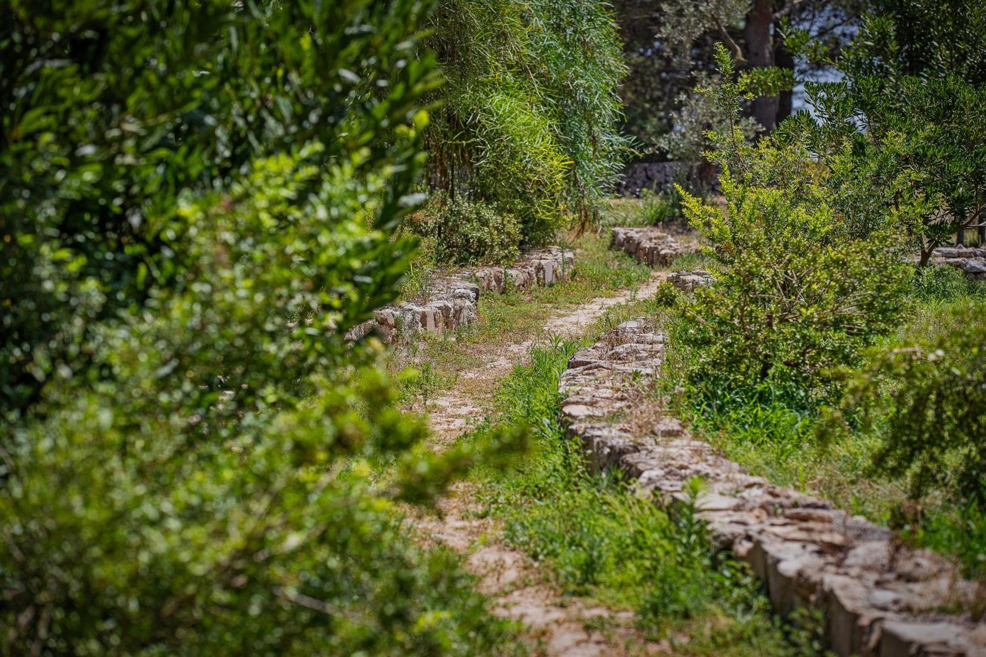 Torre Casciani Villa Ugento Luaran gambar