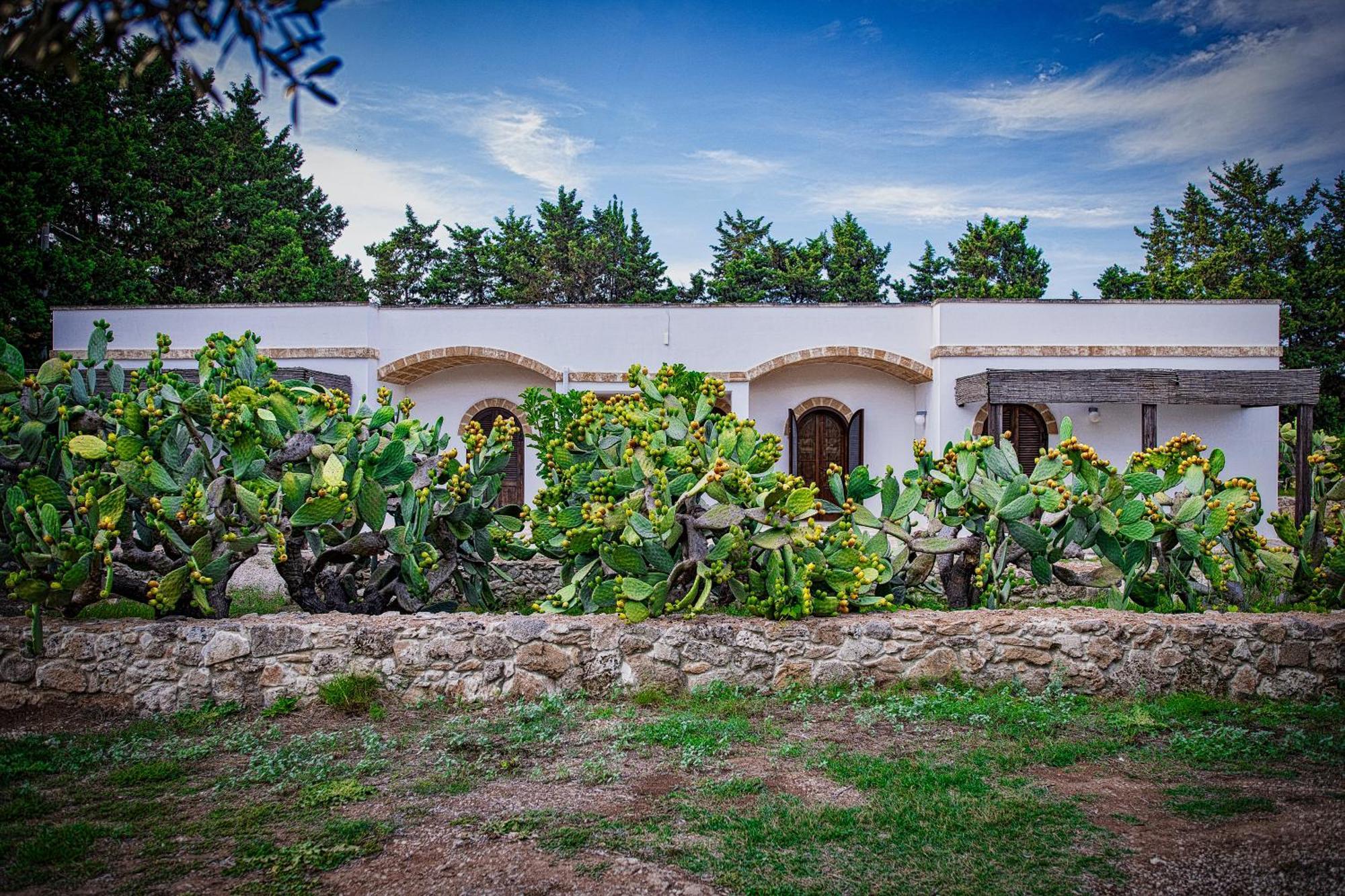 Torre Casciani Villa Ugento Luaran gambar