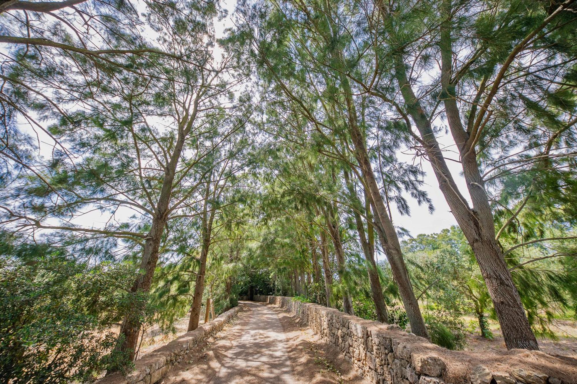 Torre Casciani Villa Ugento Luaran gambar